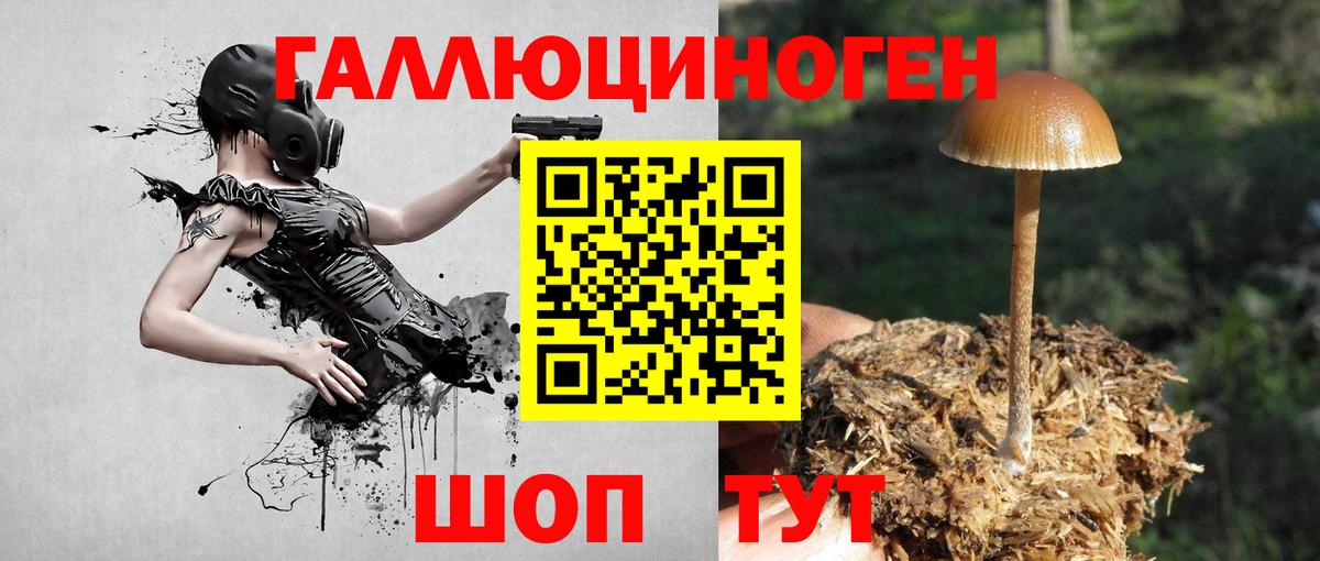 Выборг  Псилоцибиновые грибы MAGIC MUSHROOMS  Вход с VPN  Галлюциногенные грибы мицелий 